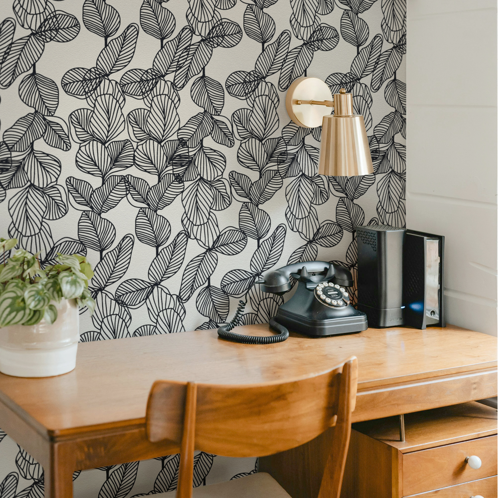 Black and White Monochrome Botanical Wallpaper – Line Art Leaves Design